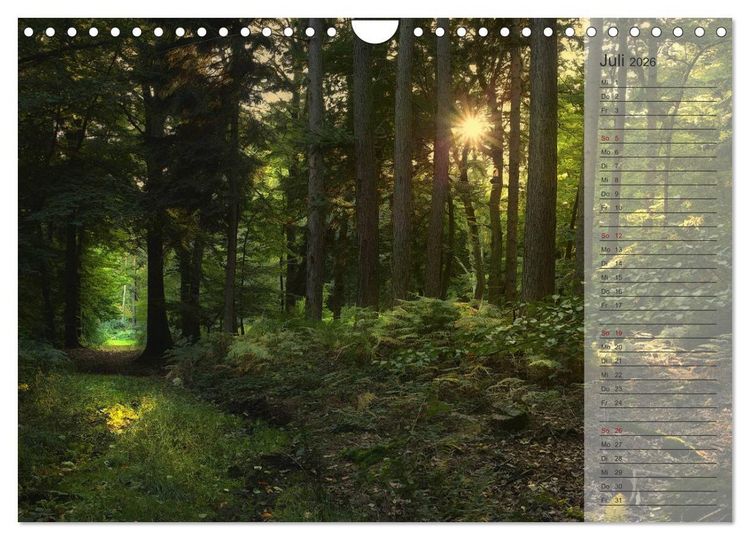Produktbild: Unser Wald - Magische Sichten in norddeutsche W&auml;lder / Geburtstagskalender (Wandkalender 2026 DIN A4 quer), CALVENDO Monatskalender