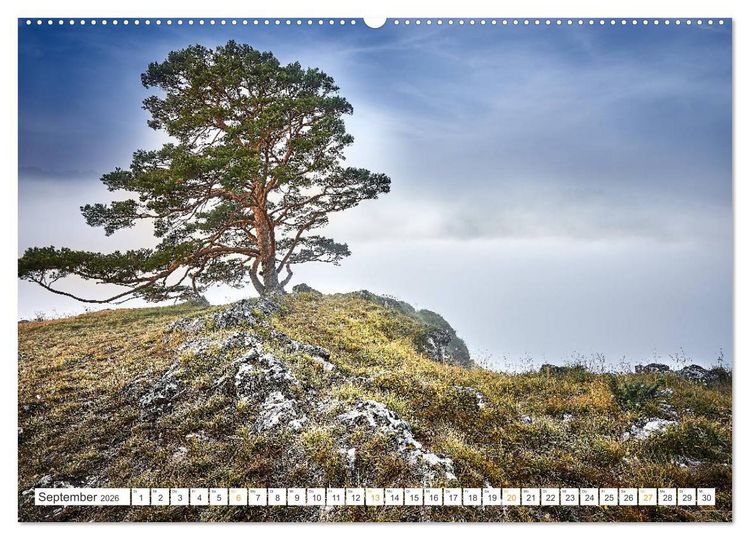 Produktbild: B&auml;ume im Altm&uuml;hltal (Wandkalender 2026 DIN A2 quer), CALVENDO Monatskalender