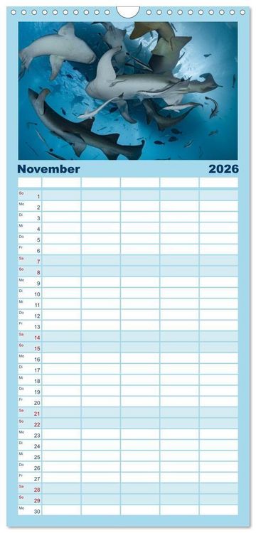 Produktbild: Familienplaner 2026 - Faszinierende Meereswelt der Malediven mit 5 Spalten (Wandkalender, 21 x 45 cm) CALVENDO