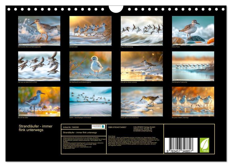 Produktbild: Strandl&auml;ufer - immer flink unterwegs (Wandkalender 2026 DIN A4 quer), CALVENDO Monatskalender