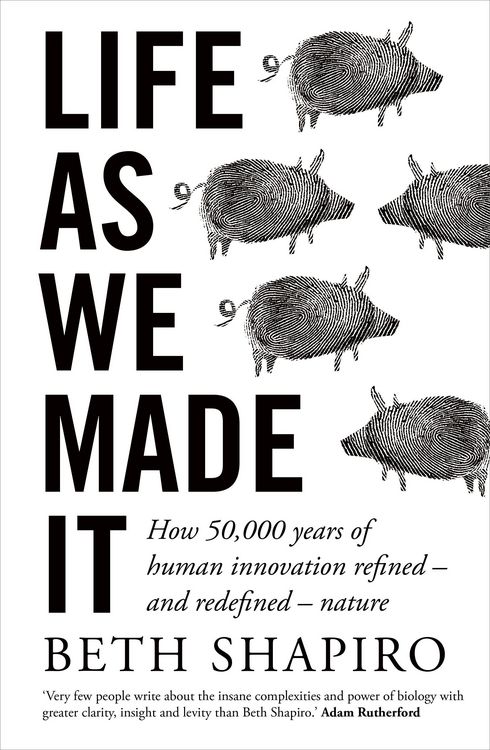 Produktbild: Life as We Made It