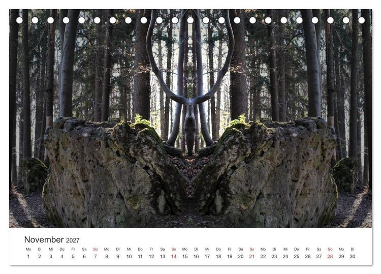 Produktbild: Spiegelwelten - Natur anders sehen (Tischkalender 2027 DIN A5 quer), CALVENDO Monatskalender