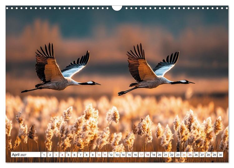 Produktbild: Mit den Kranichen kehrt das Licht in die Seele zur&uuml;ck (Wandkalender 2027 DIN A3 quer), CALVENDO Monatskalender