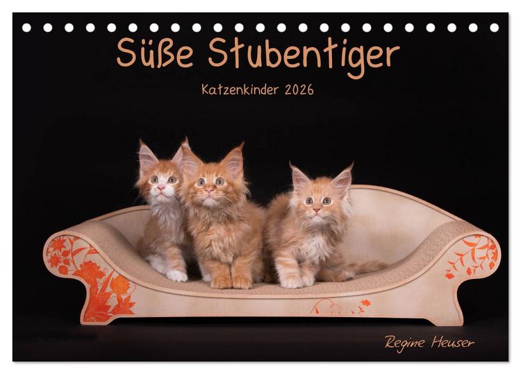 Produktbild: S&uuml;&szlig;e Stubentiger - Katzenkinder (Tischkalender 2026 DIN A5 quer), CALVENDO Monatskalender