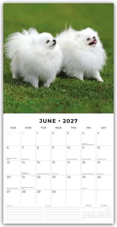 Produktbild: Pomeranians &ndash; Zwergspitz &ndash; Pomeranian Zwergspitz 2027 &ndash; 16-Monatskalender