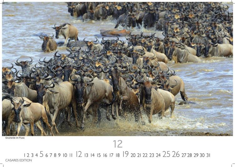 Produktbild: Kenia & Serengheti Kalender 2027 &ndash; Wandkalender | Fotokalender Afrika 35x50cm &ndash; Wundersch&ouml;ne Tierkalender- und Naturschutzfotos.
