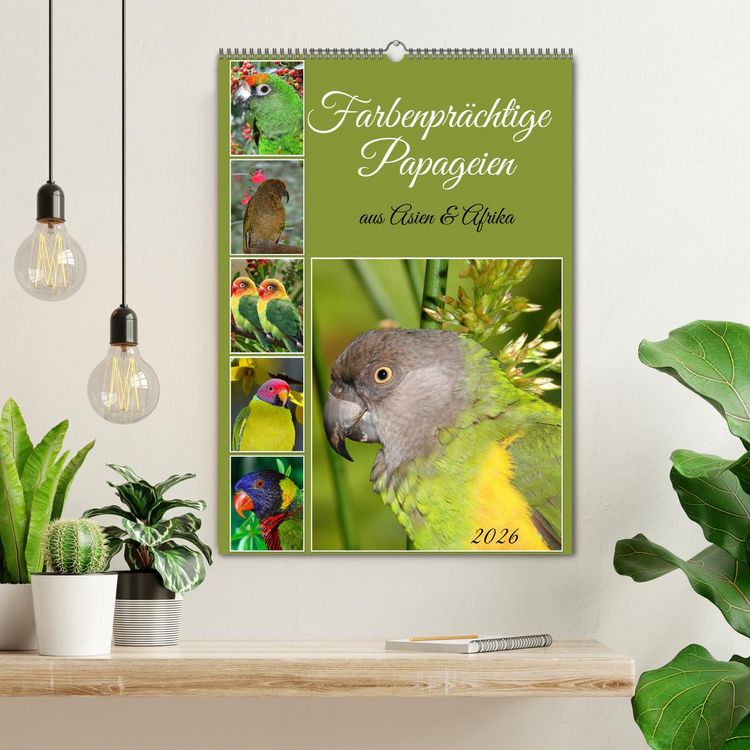 Produktbild: Farbenpr&auml;chtige Papageien aus Asien und Afrika (Wandkalender 2026 DIN A2 hoch), CALVENDO Monatskalender