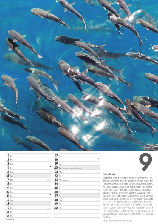 Produktbild: Der große Angelkalender 2026 - Bildkalender A3 (29,7x42 cm) - mit vielen Zusatzinformationen aus der Anglerwelt und Platz für Notizen - Wandkalender