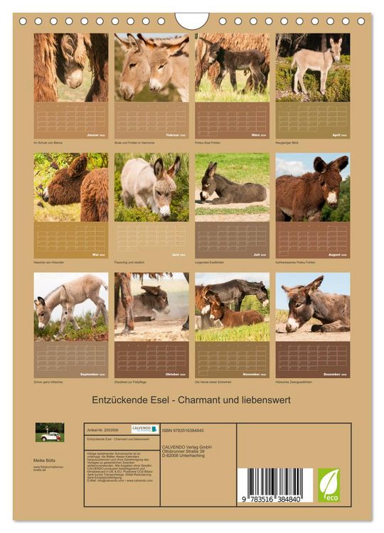 Produktbild: Entz&uuml;ckende Esel - Charmant und liebenswert (Wandkalender 2026 DIN A4 hoch), CALVENDO Monatskalender
