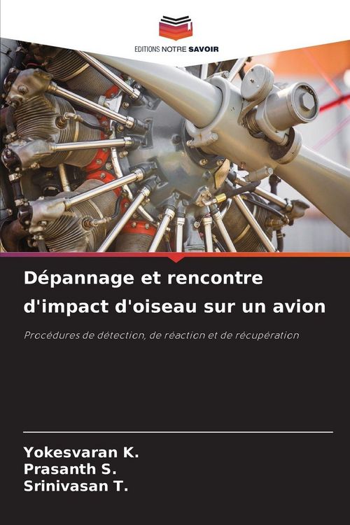 Produktbild: D&eacute;pannage et rencontre d'impact d'oiseau sur un avion