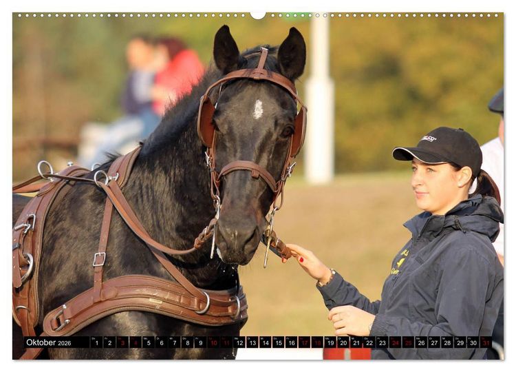 Produktbild: Schwere Warmbl&uuml;ter 2026 (hochwertiger Premium Wandkalender 2026 DIN A2 quer), Kunstdruck in Hochglanz