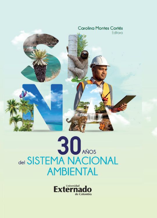 Produktbild: Treinta a&ntilde;os del sistema nacional ambiental