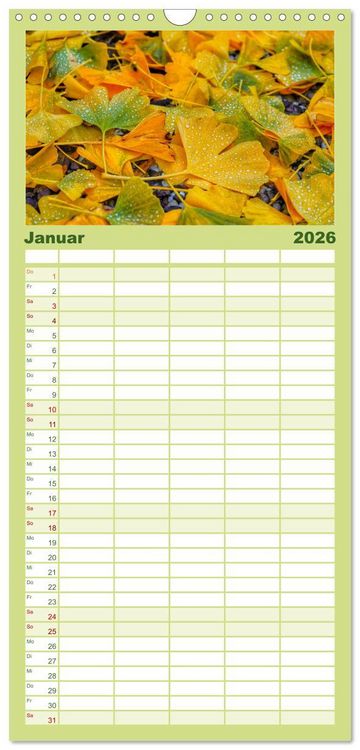 Produktbild: Familienplaner 2026 - Mit Ginkgo biloba durch das Jahr mit 5 Spalten (Wandkalender, 21 x 45 cm) CALVENDO