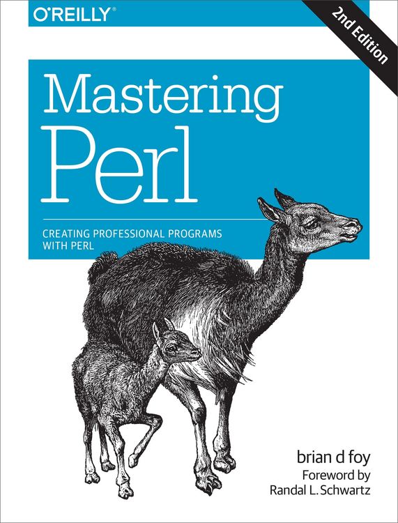 Produktbild: Mastering Perl