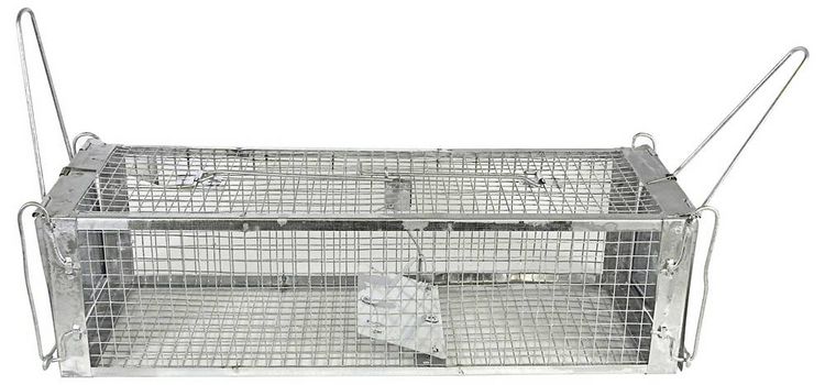Produktbild: Swissinno Maus- und Rattenk&auml;fig Pro Lebendfalle 1St.