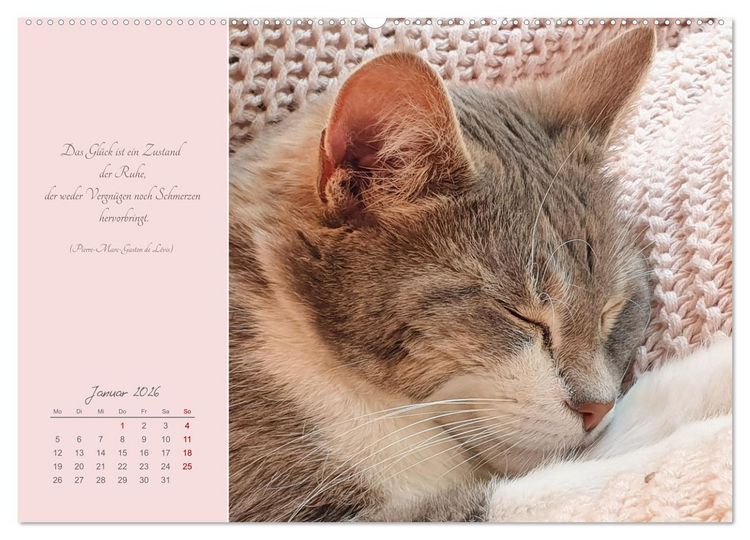 Produktbild: H&auml;ng einfach mal ab (hochwertiger Premium Wandkalender 2026 DIN A2 quer), Kunstdruck in Hochglanz