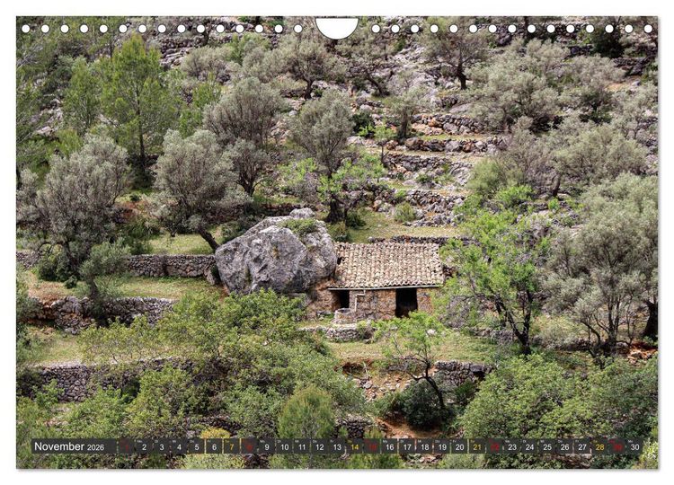 Olivenbume auf Mallorca - Die Schnheit des Alters (Wandkalender 2026 DIN  A4 quer), CALVENDO Monatskalender" kaufen