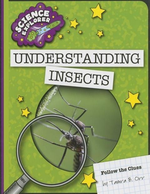 Produktbild: Understanding Insects