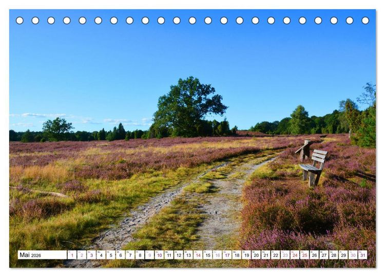 Produktbild: Heidelandschaft im Farbenspiel der Natur (Tischkalender 2026 DIN A5 quer), CALVENDO Monatskalender