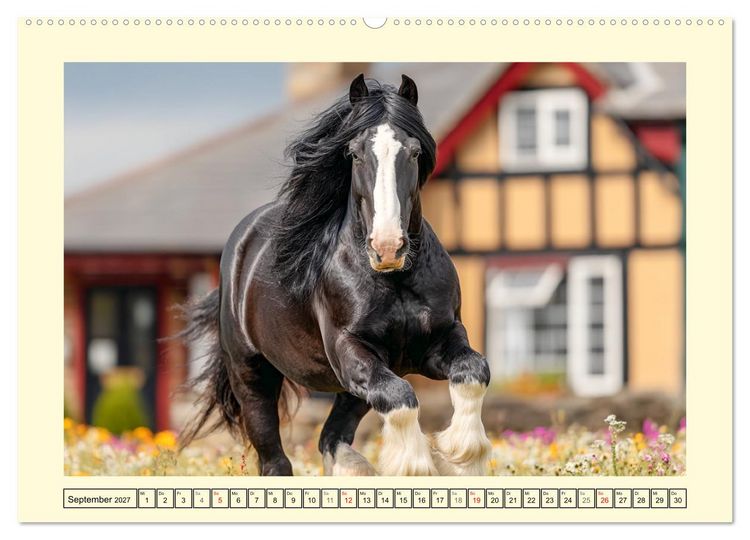 Produktbild: Shire Horse Momente. Masse und Kraft in Bewegung (Wandkalender 2027 DIN A2 quer), CALVENDO Monatskalender