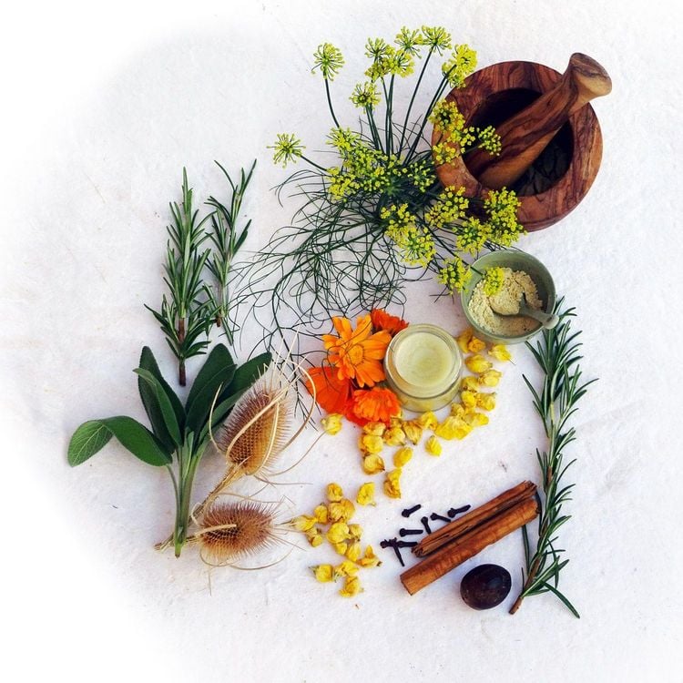 Produktbild: Einfach gesund. Das Hildegard von Bingen Gesundheitsbuch