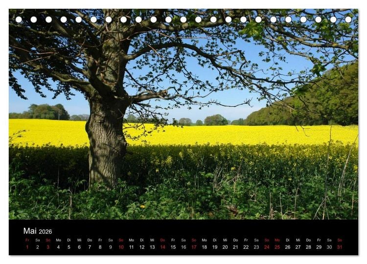 Produktbild: Baum-Variationen (Tischkalender 2026 DIN A5 quer), CALVENDO Monatskalender