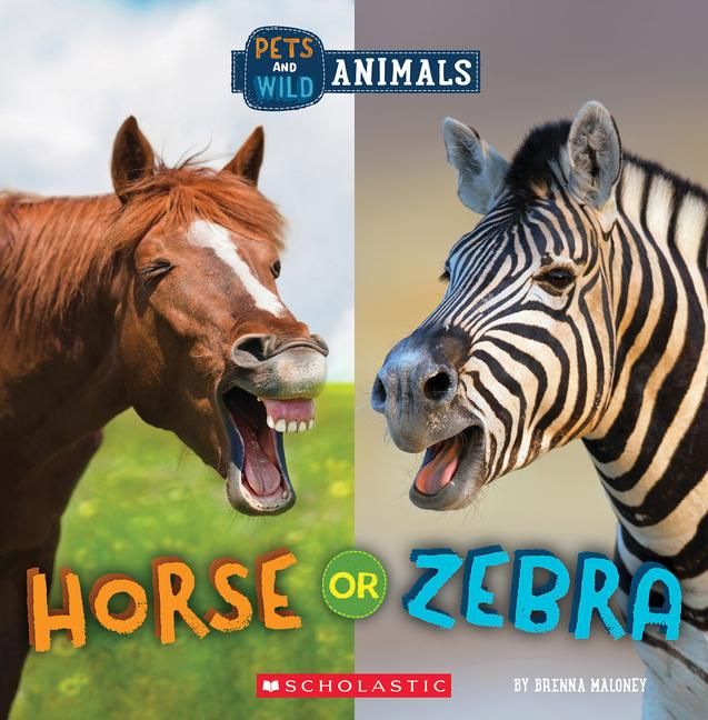 Produktbild: Horse or Zebra (Wild World: Pets and Wild Animals)