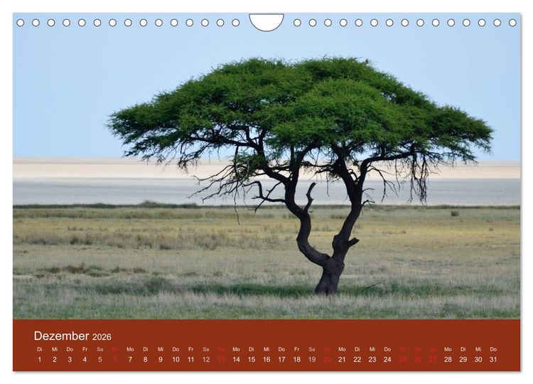 Produktbild: Namibia (Wandkalender 2026 DIN A4 quer), CALVENDO Monatskalender