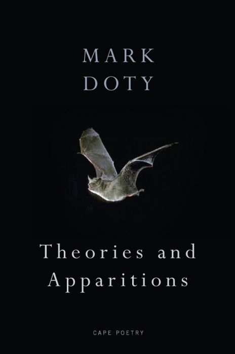 Produktbild: Theories and Apparitions