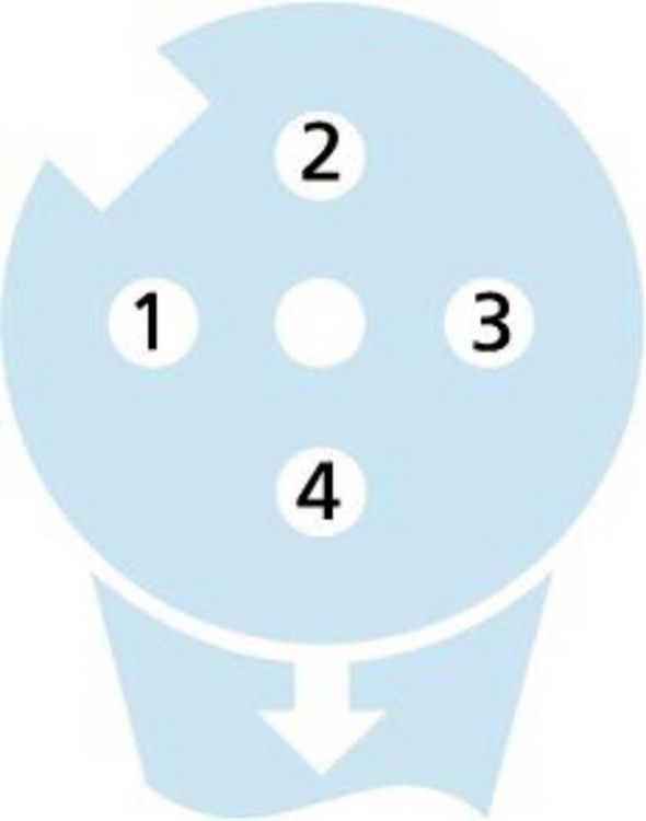 Produktbild: Escha 8045238 Sensor-/Aktor-Anschlussleitung 5.0m Polzahl Sensoren: 4 1St.