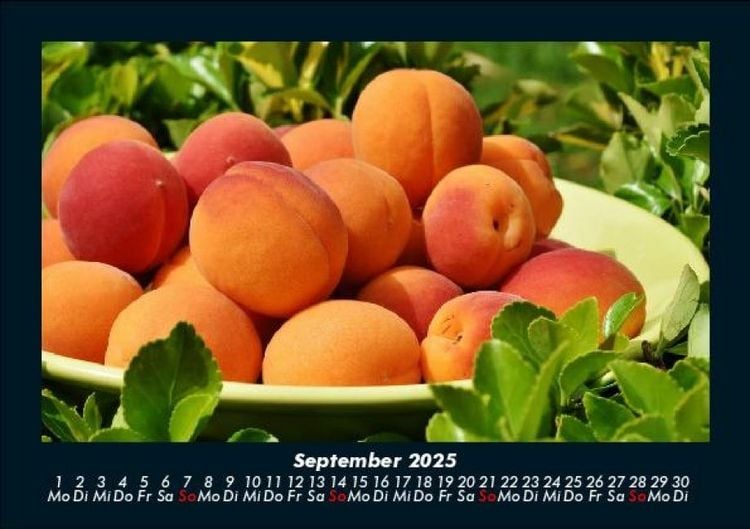 Produktbild: Fr&uuml;chte 2025 Fotokalender DIN A5