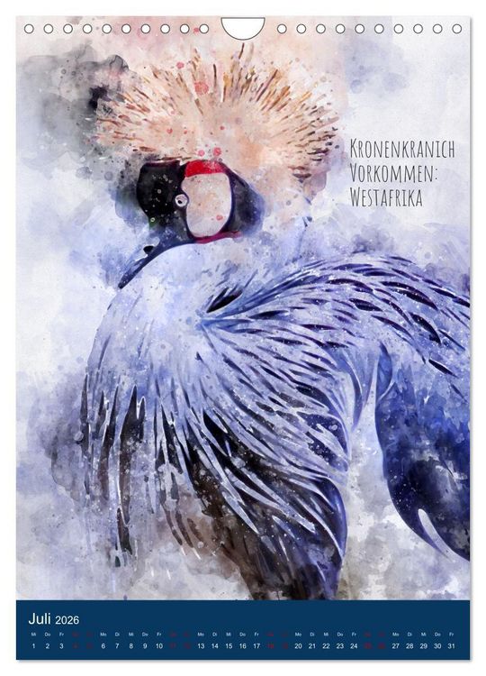 Produktbild: Exotische V&ouml;gel - Die Sch&ouml;nsten der Welt in Aquarell (Wandkalender 2026 DIN A4 hoch), CALVENDO Monatskalender