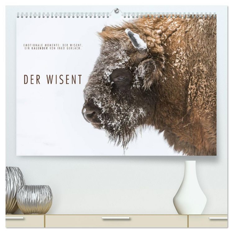 Produktbild: Emotionale Momente: Der Wisent. (hochwertiger Premium Wandkalender 2026 DIN A2 quer), Kunstdruck in Hochglanz