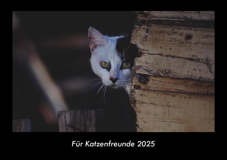 Produktbild: F&uuml;r Katzenfreunde 2025 Fotokalender DIN A3