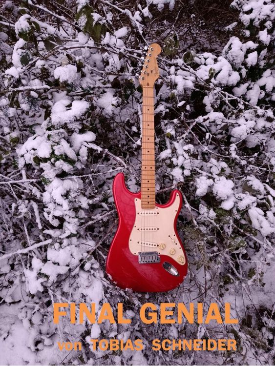 Produktbild: Final Genial