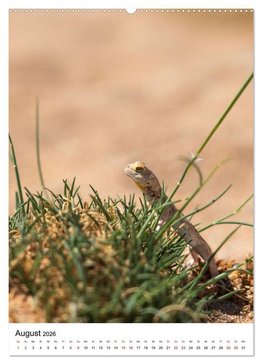 Produktbild: Naturparadies Namibia (hochwertiger Premium Wandkalender 2026 DIN A2 hoch), Kunstdruck in Hochglanz
