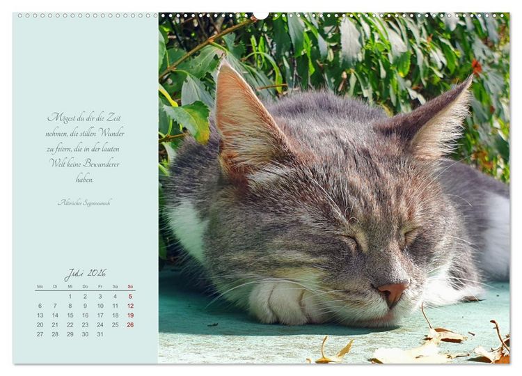Produktbild: H&auml;ng einfach mal ab (hochwertiger Premium Wandkalender 2026 DIN A2 quer), Kunstdruck in Hochglanz