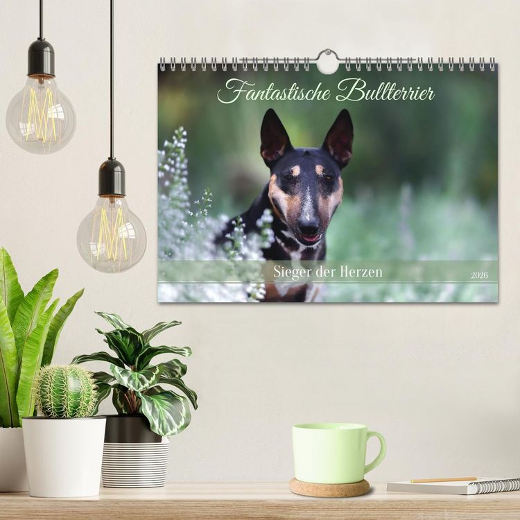 Produktbild: Fantastische Bullterrier - Sieger im Herzen (Wandkalender 2026 DIN A4 quer), CALVENDO Monatskalender