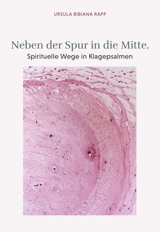 Produktbild: Neben der Spur in die Mitte