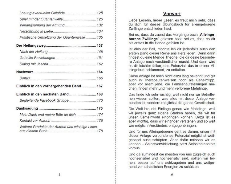 Produktbild: Alleingeborener Zwilling auf dem Weg in die Selbstheilung