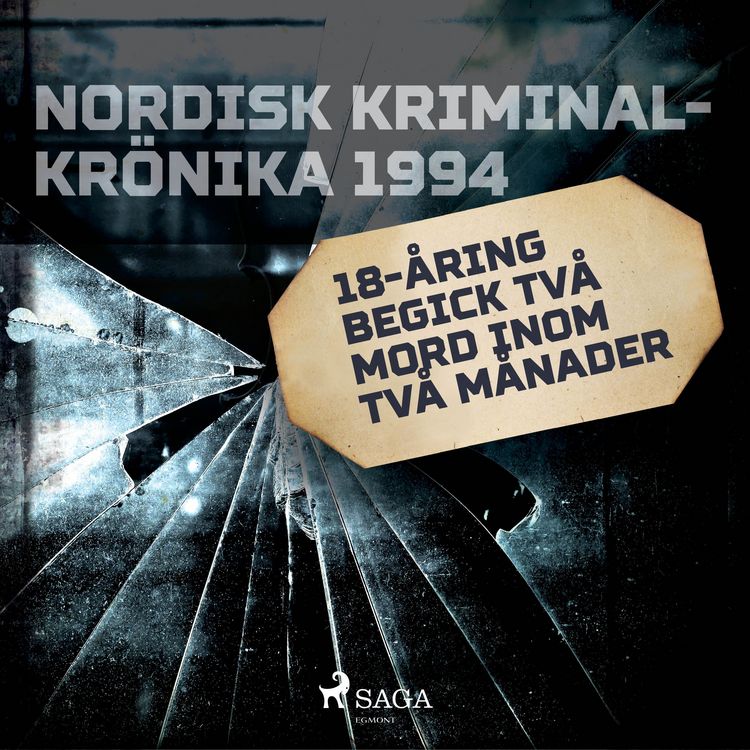Produktbild: 18-&aring;ring begick tv&aring; mord inom tv&aring; m&aring;nader