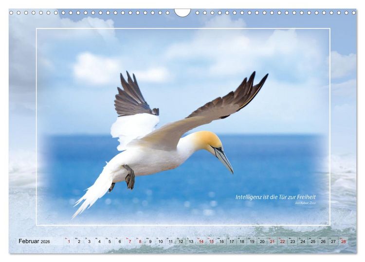Produktbild: Insel Gedanken (Wandkalender 2026 DIN A3 quer), CALVENDO Monatskalender