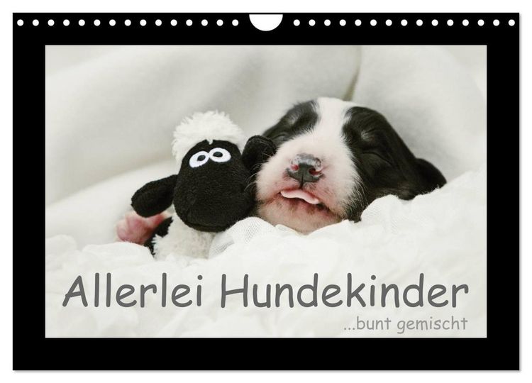 Produktbild: Allerlei Hundekinder (Wandkalender 2026 DIN A4 quer), CALVENDO Monatskalender