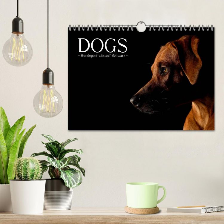 Produktbild: Dogs (Wandkalender 2026 DIN A4 quer), CALVENDO Monatskalender