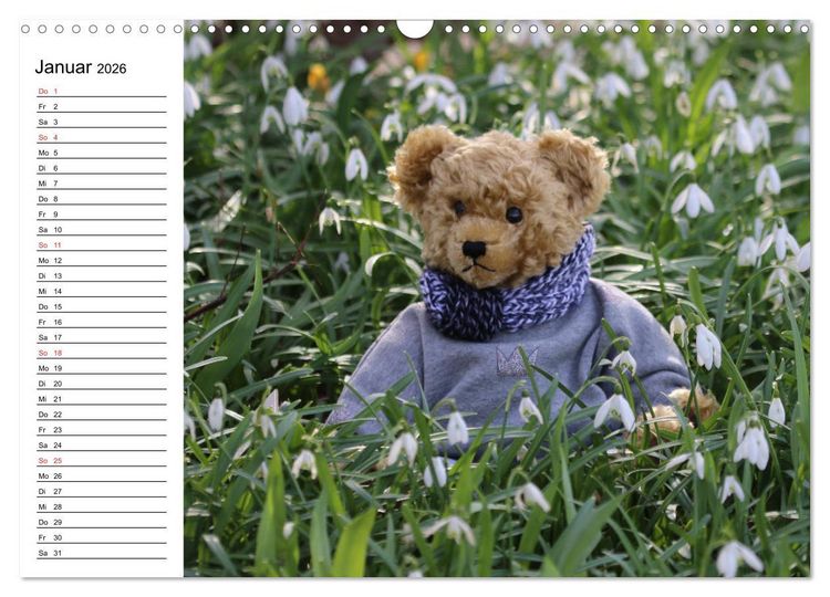 Produktbild: Teddy unterwegs (Wandkalender 2026 DIN A3 quer), CALVENDO Monatskalender
