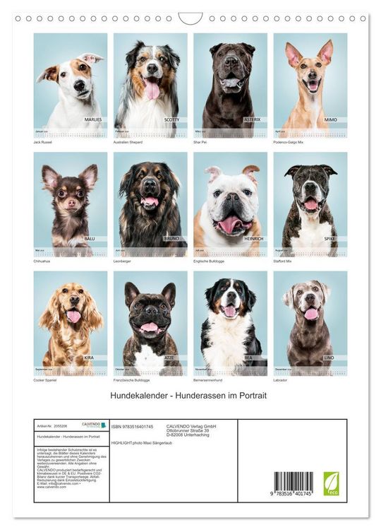 Produktbild: Hundekalender - Hunderassen im Portrait (Wandkalender 2026 DIN A3 hoch), CALVENDO Monatskalender