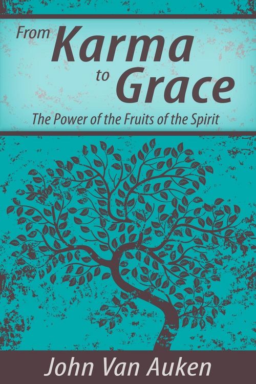 Produktbild: From Karma to Grace