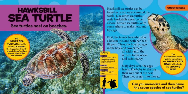 Produktbild: National Geographic Little Kids First Big Book of Reptiles and Amphibians
