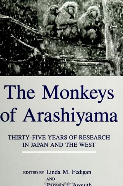 Produktbild: The Monkeys of Arashiyama