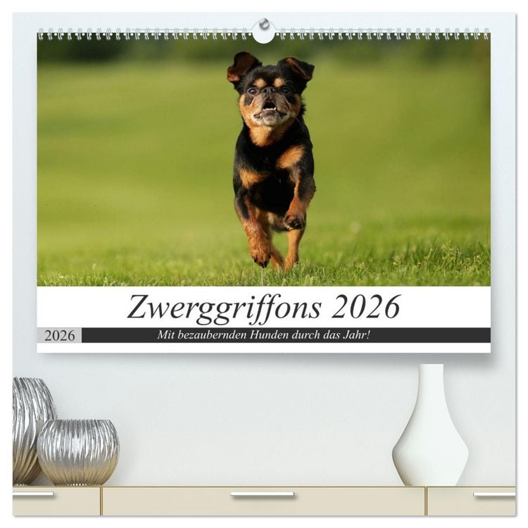 Produktbild: Zwerggriffons 2026 (hochwertiger Premium Wandkalender 2026 DIN A2 quer), Kunstdruck in Hochglanz